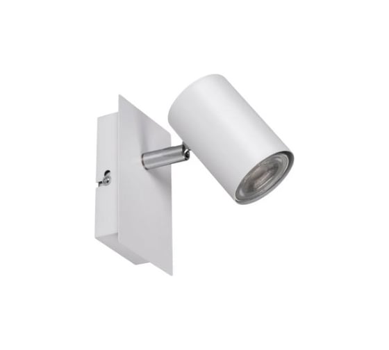 Изображение товара Настенно-потолочный светильник KANLUX evalo el-1i w-sr 35690