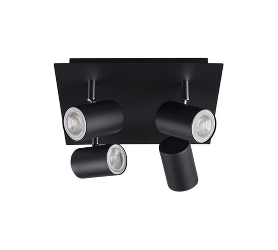 Изображение товара Настенно-потолочный светильник KANLUX evalo el-4o b-sr 35697