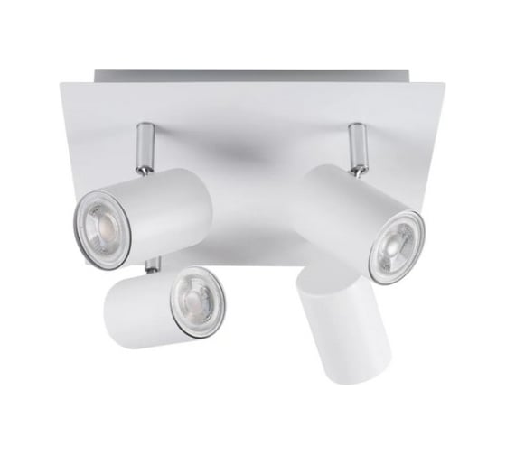 Изображение товара Настенно-потолочный светильник KANLUX evalo el-4o w-sr 35696