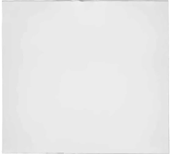 Изображение товара Пластина защитная поликарбонатная 115x105 (50 шт. в упаковке) ПТК 00000018266