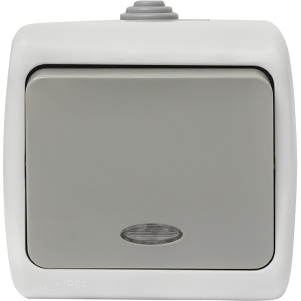 Одноклавишный выключатель EKF выключатель с рамкой makel mimoza 12001 одноклавишный скрытая установка белый