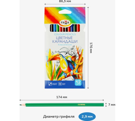 Изображение товара Цветные карандаши Гамма классические, 12цв., заточен., картон. упаковка, европодвес 050918_02_02