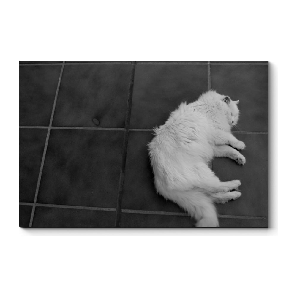 Картина Picsis ruopoty рама сон кошка diy живопись по номерам животные ручная роспись картина краска по номерам подарок для домашнего декора