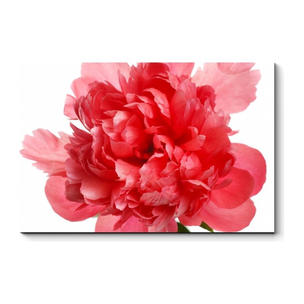 Картина Picsis картина на подрамнике леди розовый букет 70 110