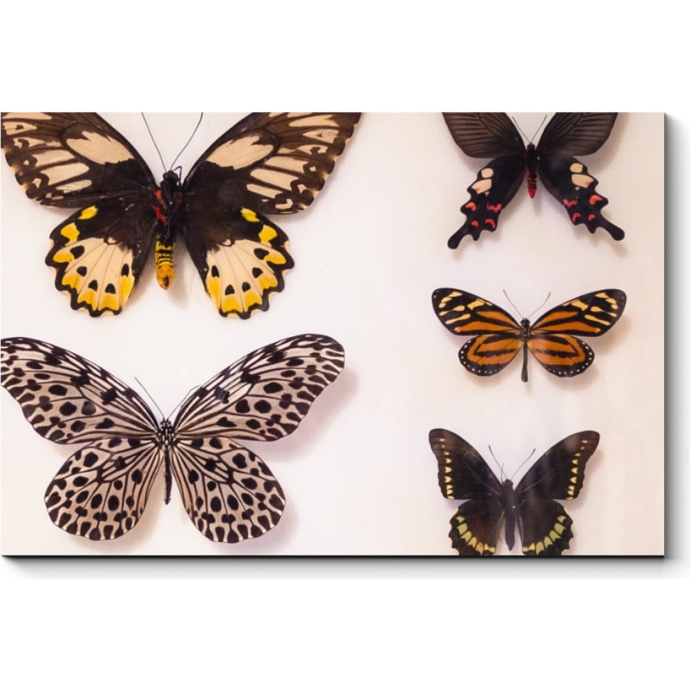 Картина Picsis скатерть бабочки пвх 160x140 см бежевый