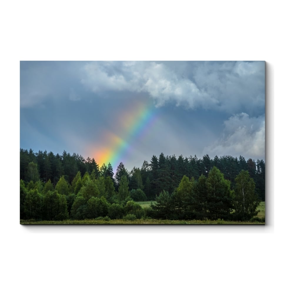 фото Картина picsis