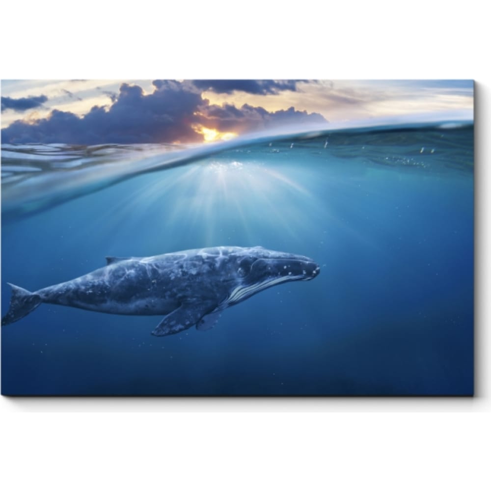 Картина Picsis киты по штирборту