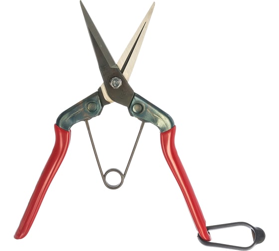 Изображение товара Ножницы для сбора фруктов, овощей, цветов с прямым лезвием SAMURAI KS-55C