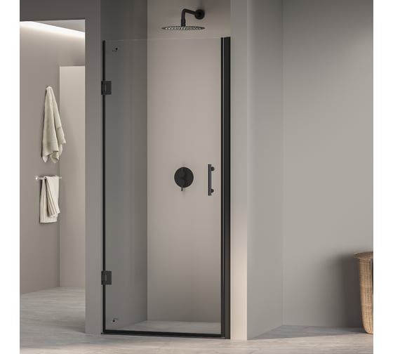 Изображение товара Душевая дверь RGW 60x195 PA-06 в чёрный, прозрачное, 6 мм 41080606-14
