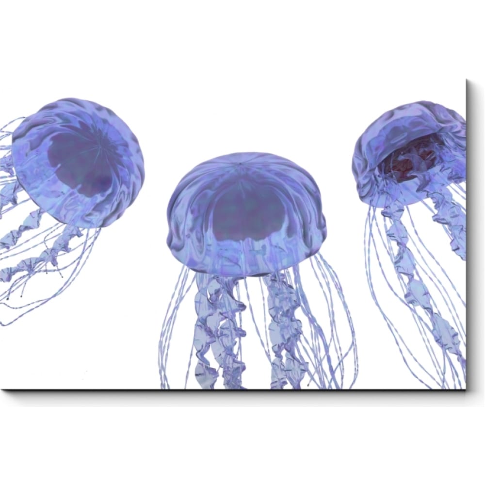 Картина Picsis обитатели океана в картинках наглядное пособие для педагогов логопедов воспитателей и родителей