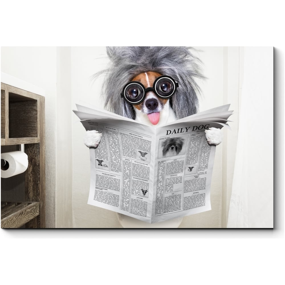 Картина Picsis питомец толстовка одежда милый фантазия щенок одежда костюм кошка собака пальто наряд пчелиный стиль