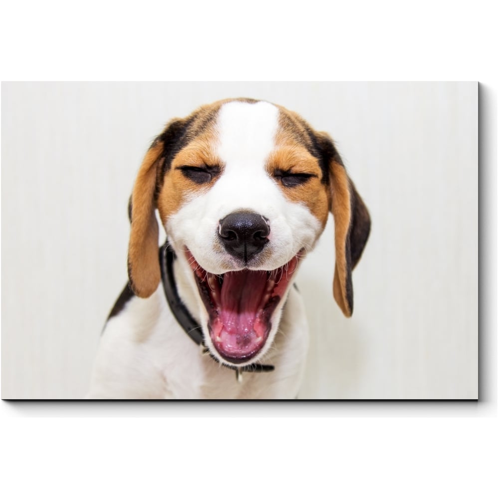 Картина Picsis собака на панель авто качающая головой малая бежевый окрас