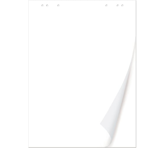 Изображение товара Блокнот для флипчарта, 50 листов, чистые 67,5х98 см, 80 г/м2, BRAUBERG 128648