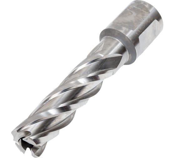 Изображение товара Фреза кольцевая HSS (14x50 мм) Rotorica RT.4215014