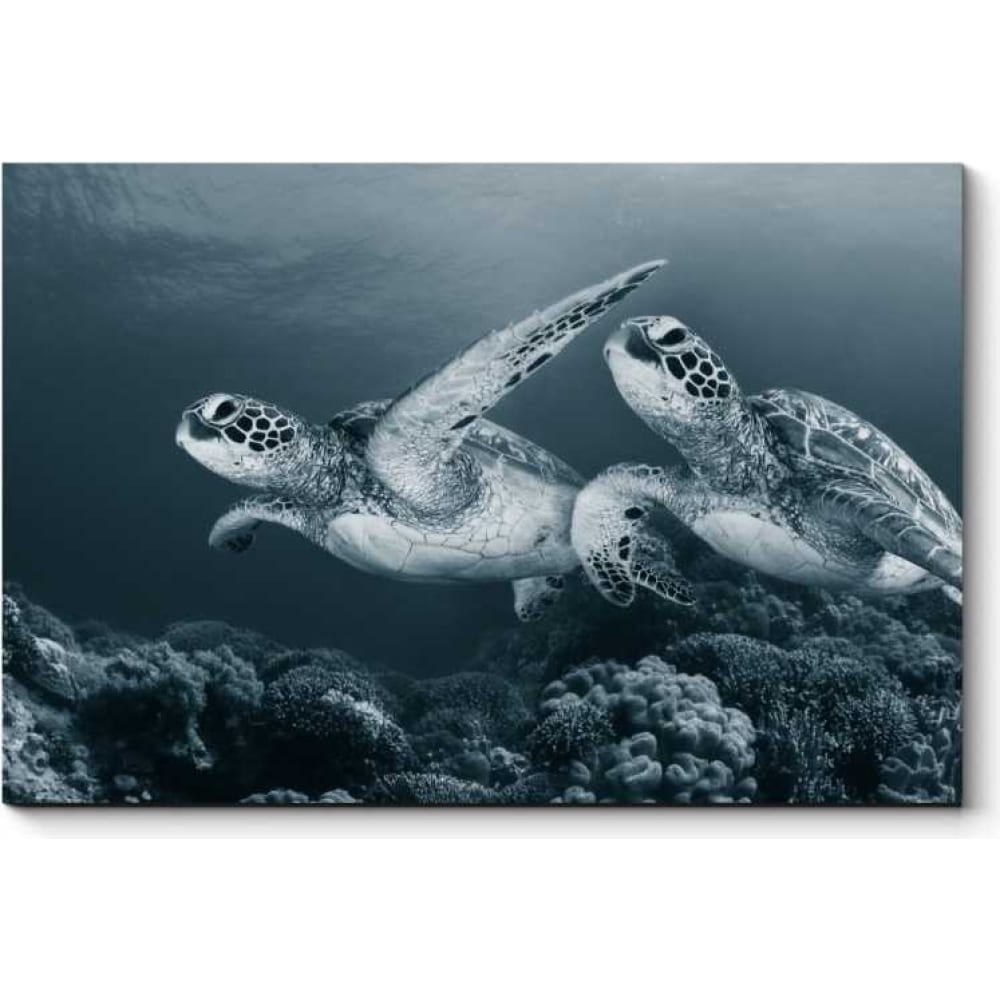 Картина Picsis когда утонет черепаха