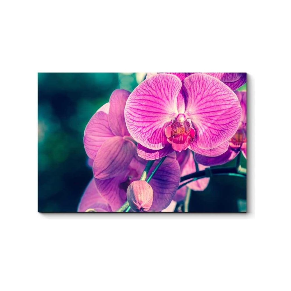 Картина Picsis салфетка доляна полоса цв розовый 35 35 см 100% хлопок