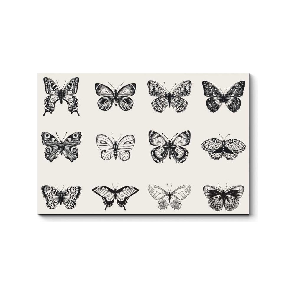 Картина Picsis конверт для денег поздравляем ы бабочки белый фон
