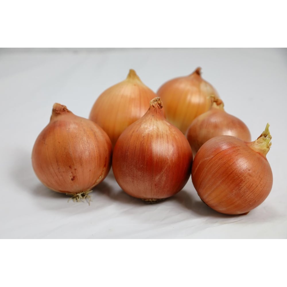 Семена ELITE PLANT-BREEDING & SEED PRODUCTION Co. ЭС 10710929