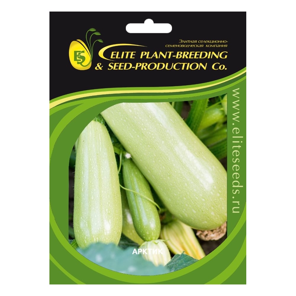 Семена ELITE PLANT-BREEDING & SEED PRODUCTION Co. ЭС мини 1071860351