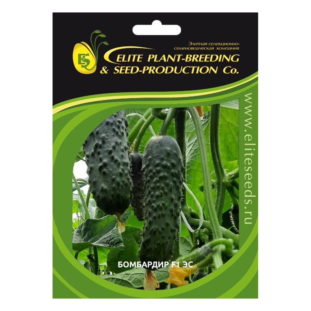 Семена ELITE PLANT-BREEDING & SEED PRODUCTION Co. ЭС мини 1071854633
