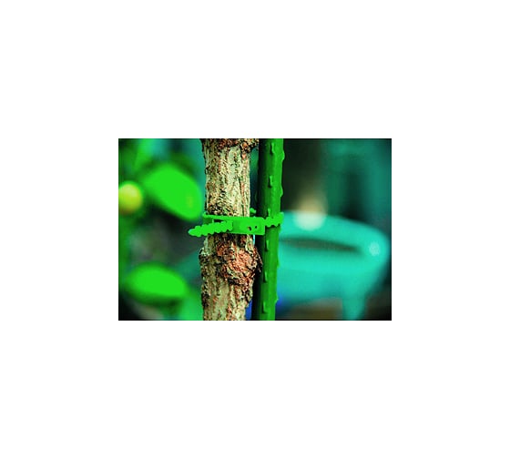 Изображение товара Регулируемая подвязка GREEN APPLE GTT-26 13 см Б0008180