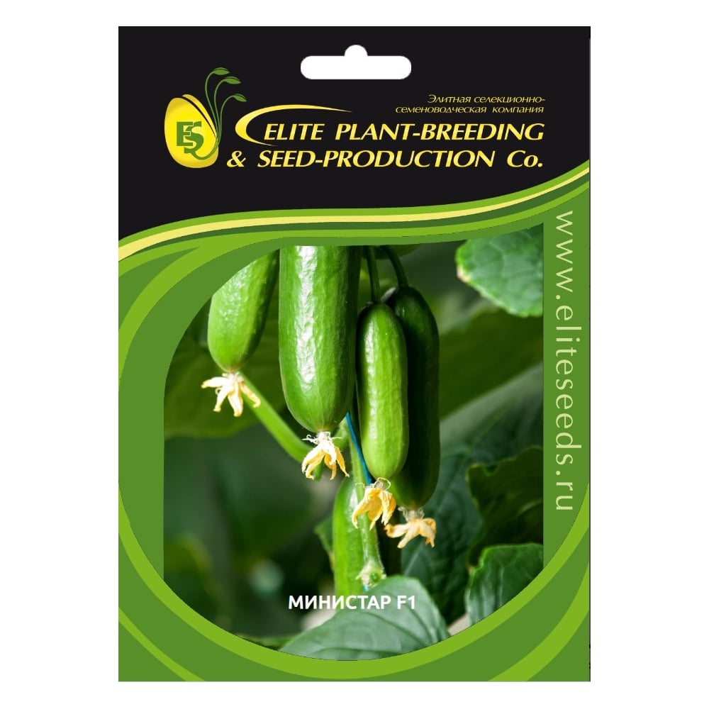 Семена ELITE PLANT-BREEDING & SEED PRODUCTION Co. ЭС мини 107079775