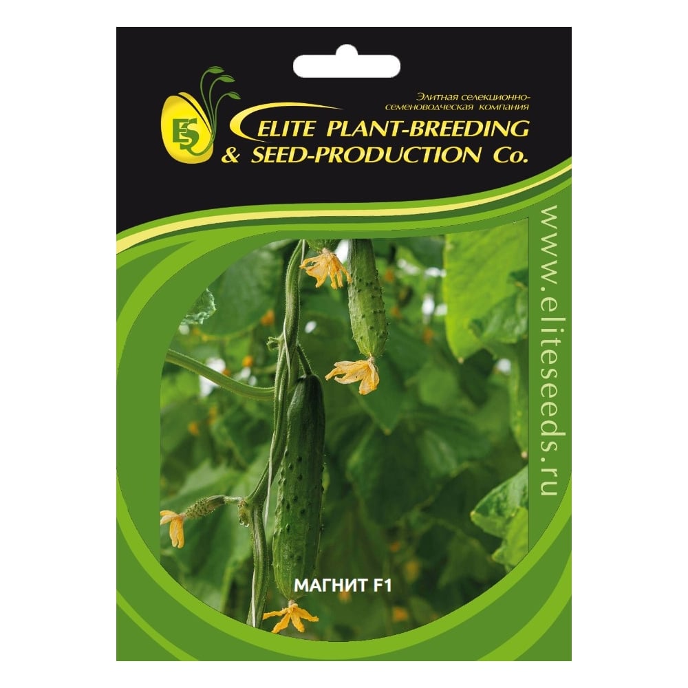 Семена ELITE PLANT-BREEDING & SEED PRODUCTION Co. 1071860714
