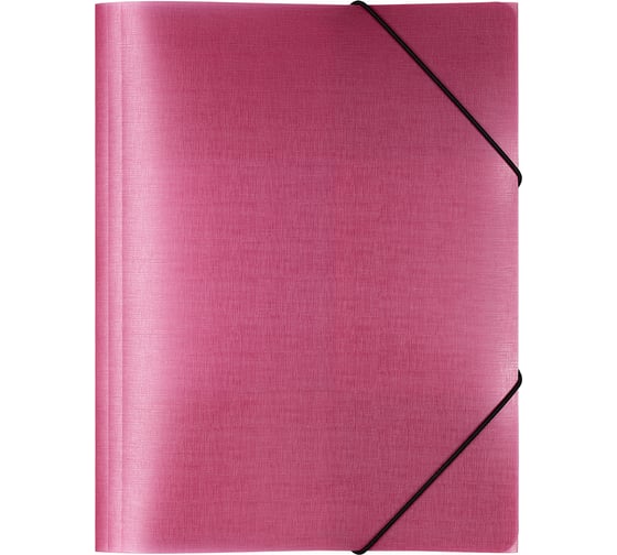 Изображение товара Папка Expert Complete на резинке A4 Trend ICEberries 600 мкм 35 мм 1 шт брусника 709208