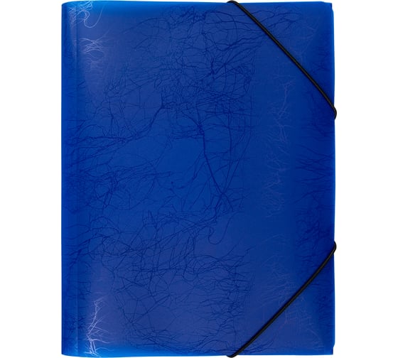 Изображение товара Папка Expert Complete на резинке 5 шт A4 Premier 600 мкм 35 мм волокно синий new 695984