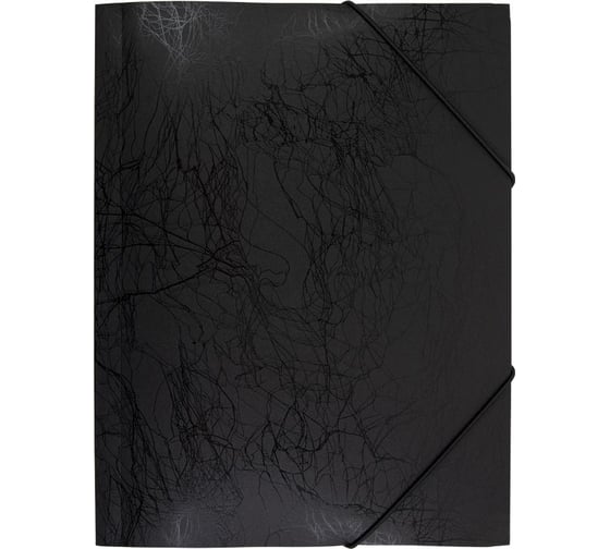 Изображение товара Папка Expert Complete на резинке 5 шт A4 Premier 600 мкм 35 мм волокно черный new 695983