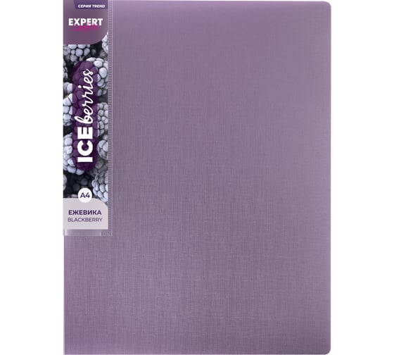 Изображение товара Папка Expert Complete на 4 О-кольцах A4 Trend ICEberries 700 мкм 25 мм 1 шт d - 17 мм ежевика 709199