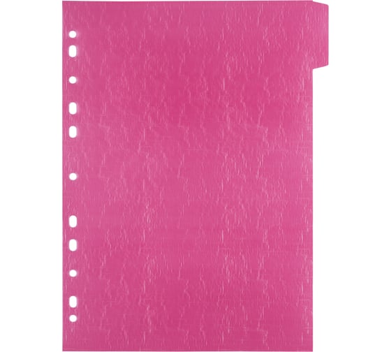 Изображение товара Пластиковый разделитель листов Expert Complete A4 5 шт Trend ICEberries лен ассорти 703786