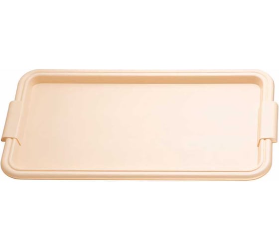 Изображение товара Поднос Полимербыт 431200000