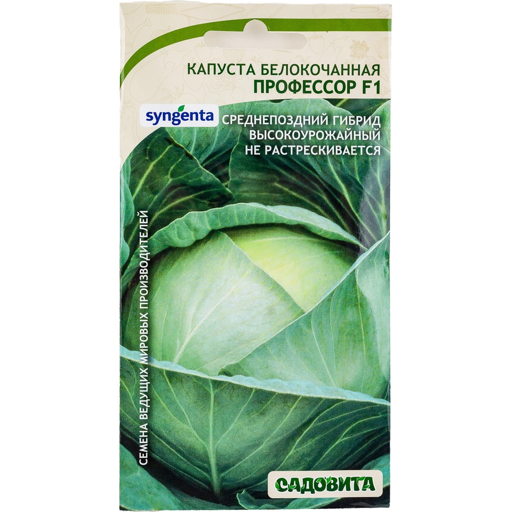 Семена Садовита Syngenta 00216401