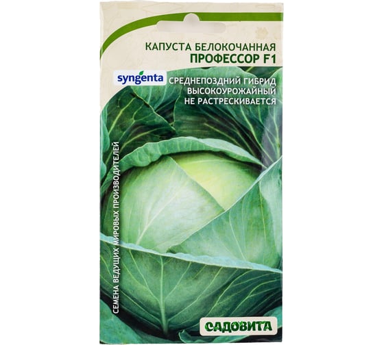 Изображение товара Семена Садовита Капуста белокочанная Профессор F1 10 шт. Syngenta 00216401