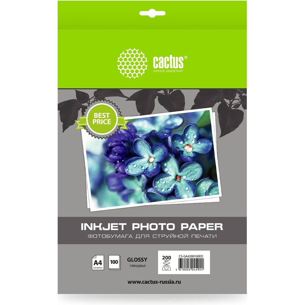 Изображение товара Фотобумага CACTUS CS-GA4200100ED A4, 200 г/м2, 100 листов, белый глянцевое для струйной печати 1033403