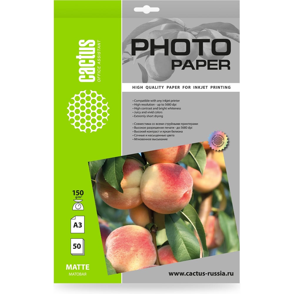 Изображение товара Фотобумага CACTUS CS-MA315050 A3 150 г/м2 50 листов матовая