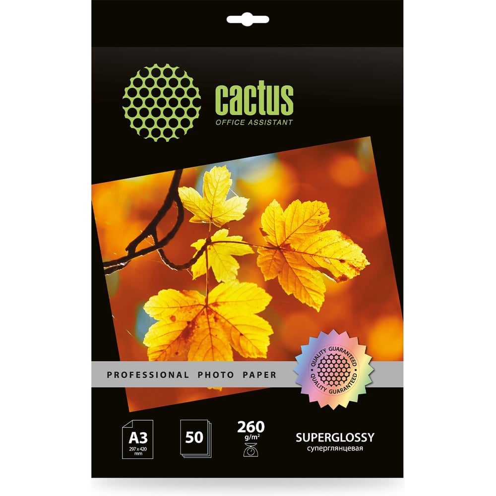 Изображение товара Фотобумага CACTUS Prof CS-HGA326050 A3 глянцевая 50 листов 260 г/м2