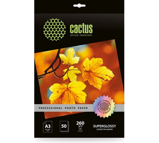 Изображение товара Фотобумага CACTUS Prof CS-HGA326050 A3, 260 г/м2, 50 листов, белый глянцевое для струйной печати 1915192