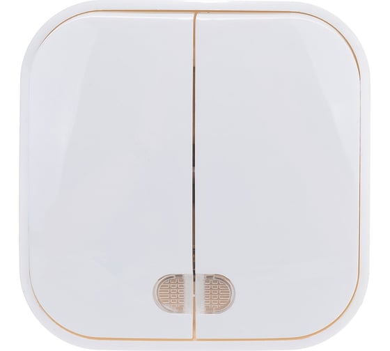 Изображение товара Двухклавишный выключатель с подсветкой IONICH о/у, 10А, 220В, белый еврослот 1414