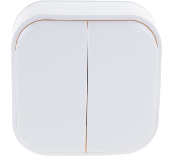 Изображение товара Двухклавишный выключатель IONICH о/у, 10А, 220В, белый еврослот 1413