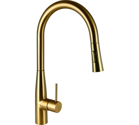 Изображение товара Смеситель для кухни Raiber Graceful матовое золото RPG-011