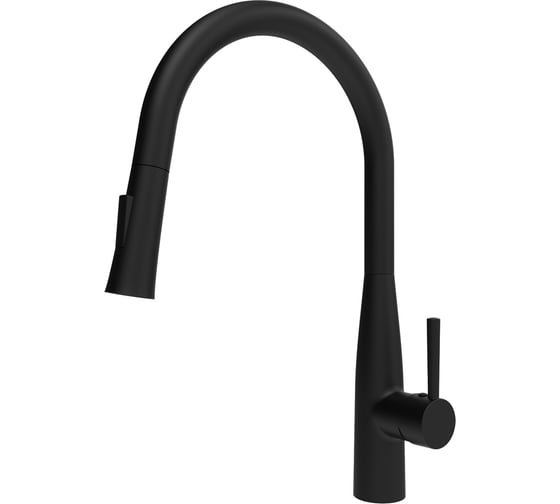 Изображение товара Смеситель для кухни Raiber Graceful черный RPB-011