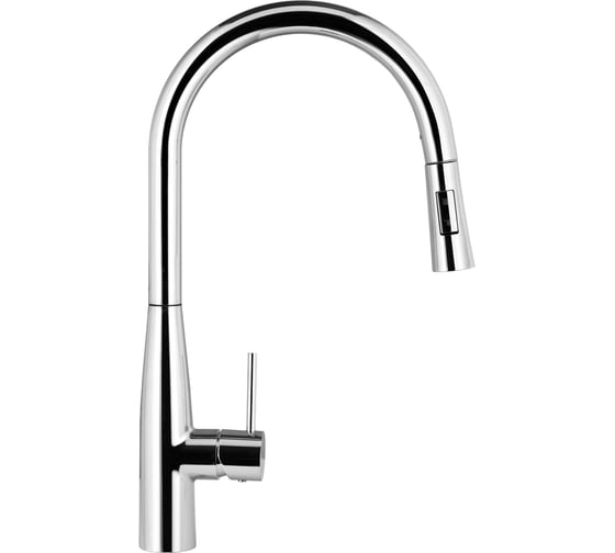 Изображение товара Смеситель для кухни Raiber Graceful хром RP-011