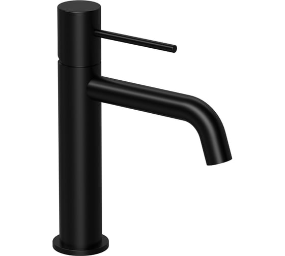 Изображение товара Смеситель для раковины Raiber Graceful черный RPB-001