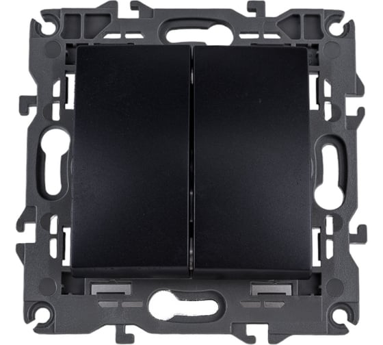 Изображение товара Двойной выключатель ЭРА 14-1104-05 10АХ-250В, IP20, Elegance, антрацит Б0034234