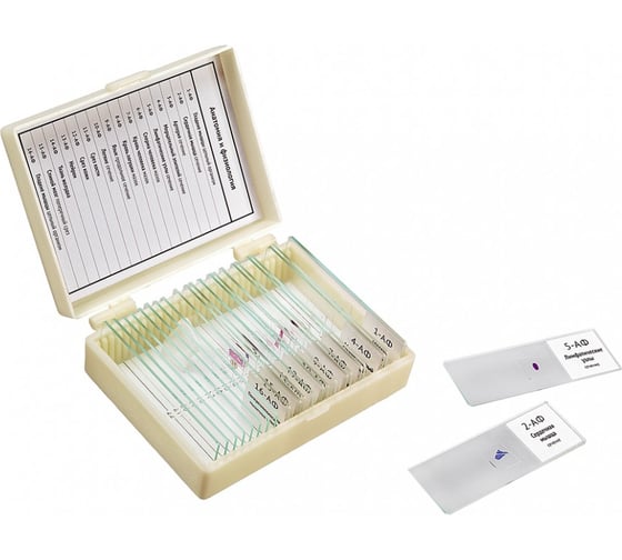 Изображение товара Набор препаратов "Анатомия и физиология" (16 обр. для школы) Микромед 22750