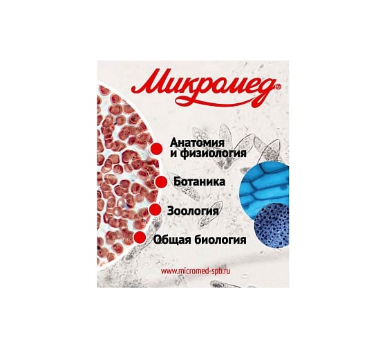 Изображение товара Набор готовых микропрепаратов Микромед №80 23319