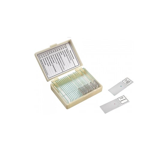 Изображение товара Набор препаратов "Общая биология" (14 обр.) Микромед 22753