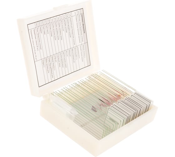 Изображение товара Набор препаратов "Анатомия и физиология" (14 обр.) Микромед 22751